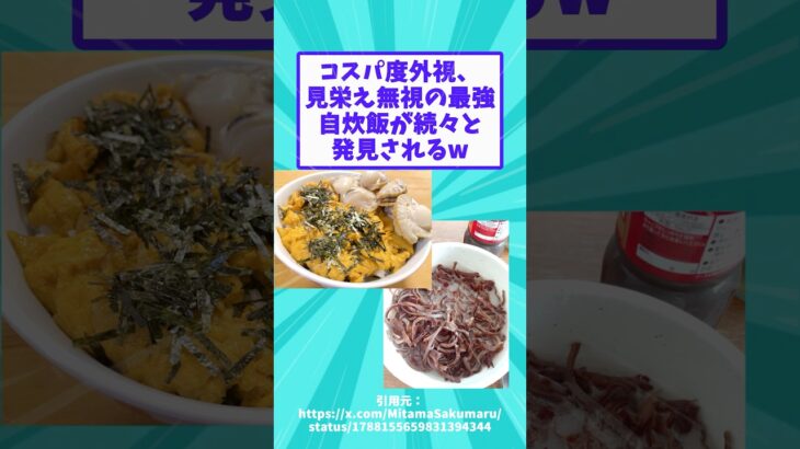 【マジかよ】コスパ度外視、見栄え無視の最強自炊飯が続々と発見されるw