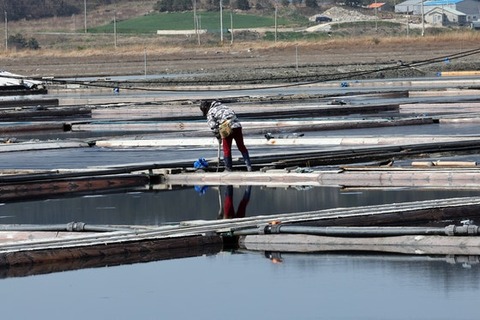 【中央日報】 「国の恥さらし」の非難あふれる…韓国新安の塩田奴隷調査始めた米大使館
