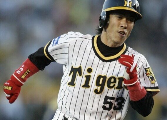 赤星と近本やったらどっちが打撃力に長けてると思う？