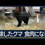 【悲報】ヒグマの駆除数17倍→自治体が焼却施設ギブアップか⁉