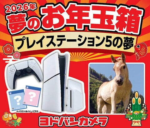 【朗報】ヨドバシ福袋『PS5の夢』爆誕！Switch2の夢はナシ！！