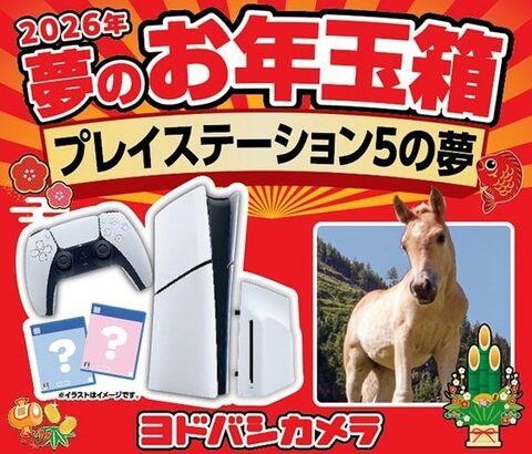 ヨドバシPS5福袋（6万円）←こいつの中身予想