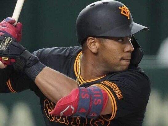 なんかオコエにはやられてる記憶あるんだけど対戦打率.100しかないんだな