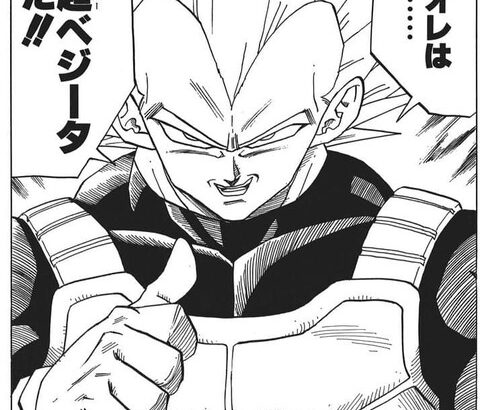 【悲報】声優の堀川りょうさん、代表キャラがベジータしかいない