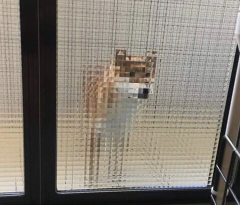 保存した中で一番最新の画像貼ってけ