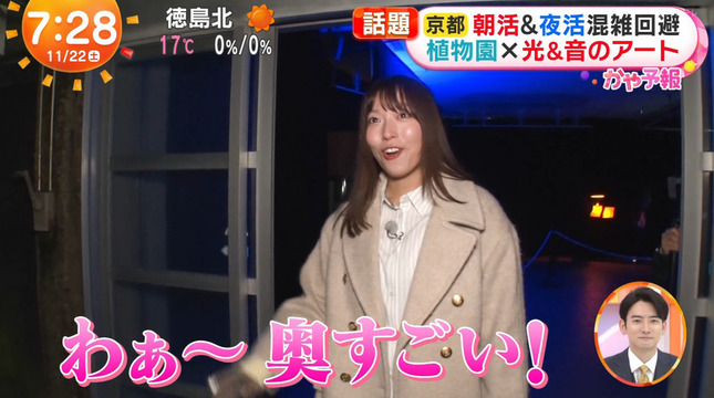 阿部華也子アナ　めざましどようび