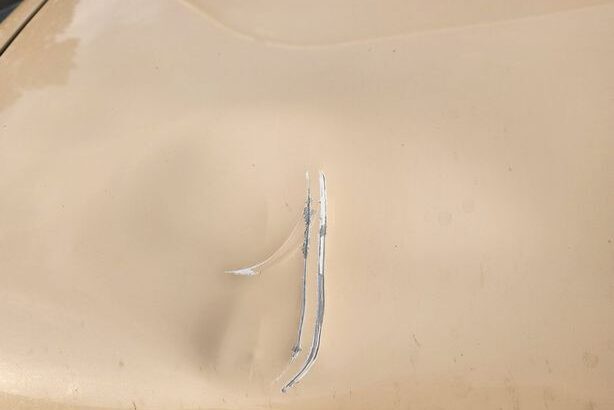 【驚愕】北海道の牧場作業員が巨大ヒグマに遭遇　車体に爪痕クッキリ