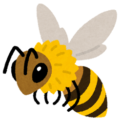 【昆虫】”悪魔の角”をもつ新種の蜂を発見、「ルシファー」と命名