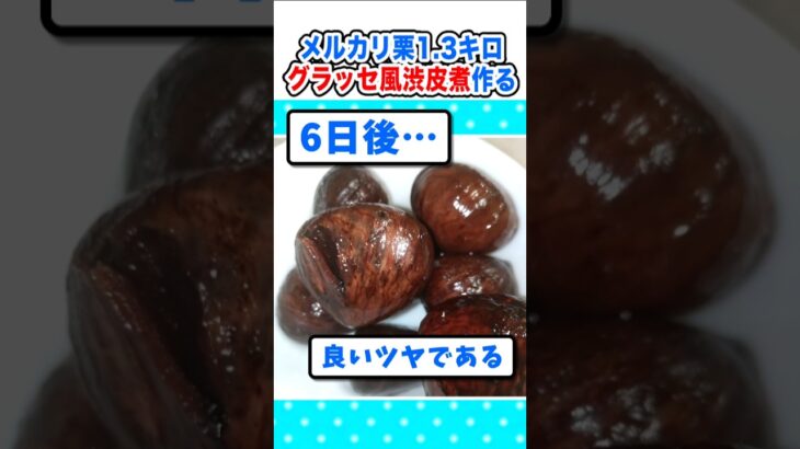 【動画】メルカリ購入1.3㎏の栗でマロングラッセ風渋皮煮を作るw