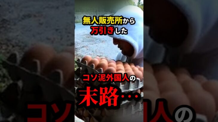 【衝撃】㊗️120万再生!!無人販売所に現れたこそ泥外国人の末路…w