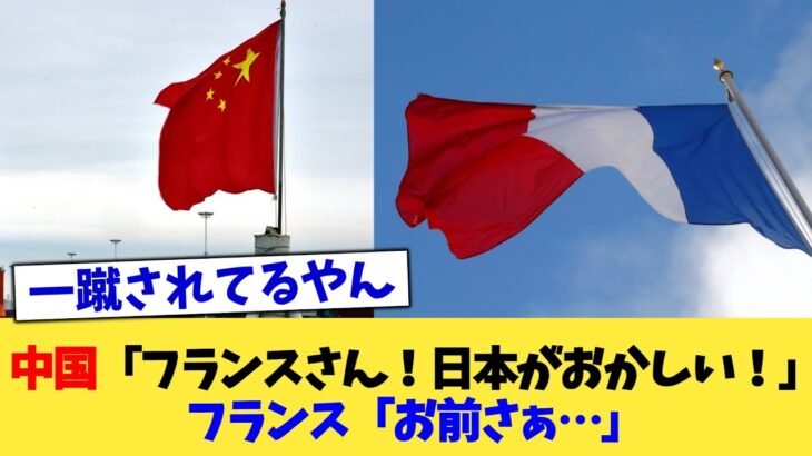 【衝撃】中国「フランスさん!日本がおかしい!」フランス「お前さぁ…」