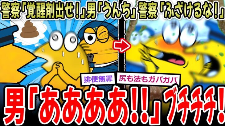 【仰天】警察「覚〇剤出せ」男「うんち」警察「ふざけr…」男「あああああああ!!!」ブチチチチ!