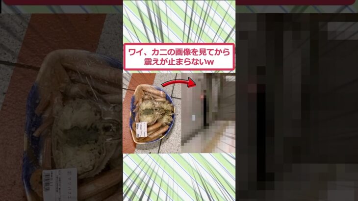 【動画】ワイ、カニの画像を見てから震えが止まらないww