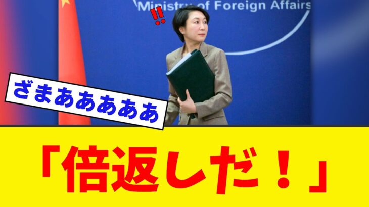 【驚愕】中国さん、日本を怒らせてとんでもない状況にwwwww