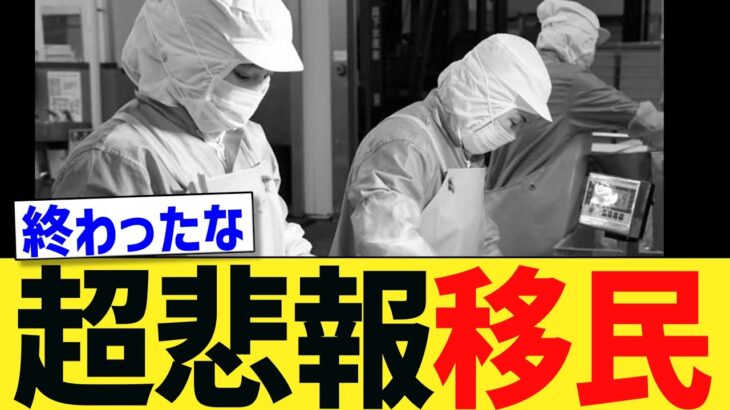 【仰天】政府「人手不足だから受入れます」→国民「ふざけんな!!!!!」