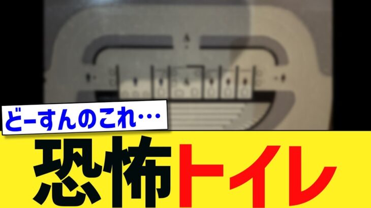【驚愕】血税で恐怖トイレ爆誕→即日改修へ…ネット「当然だろ!!!」