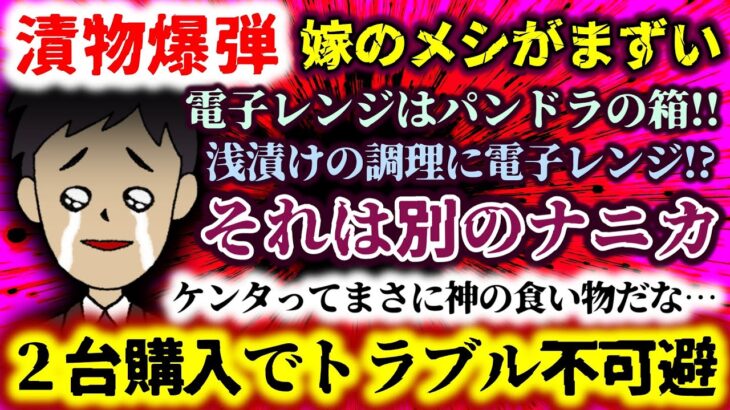 【動画】浅漬けの調理に電子レンジ!?それは別のナニカ…2台購入でトラブル不可避!?電子レンジはパンドラの箱!!