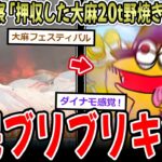 【動画】トルコ警察「押収した大麻20㌧野焼きすっぺ‼」⇒住民がブリブリにキマる