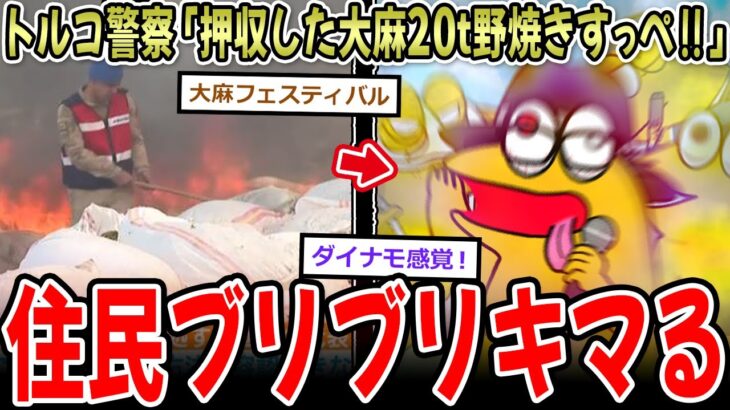 【動画】トルコ警察「押収した大麻20㌧野焼きすっぺ‼」⇒住民がブリブリにキマる