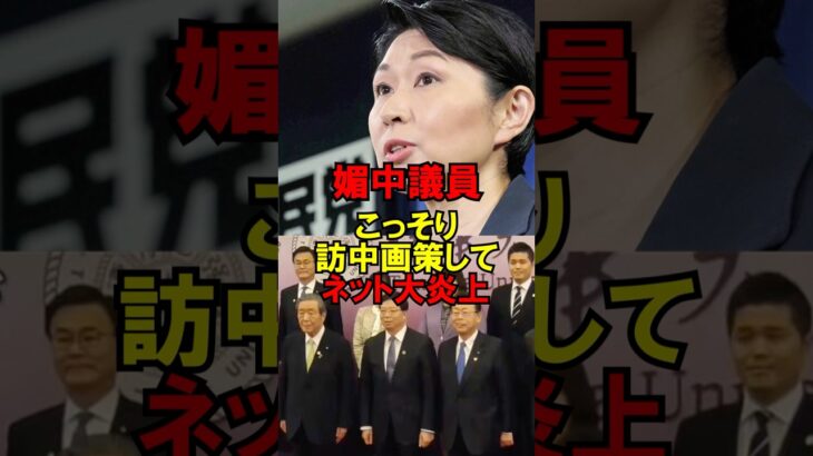 【動画】㊗️30万再生‼︎媚中議員、こっそり訪中画策してネット大炎上w