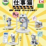 【超画像】ネッコ、ヘルメットを被る