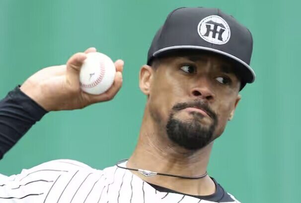 デュプランティエ(90イニング)←これ来年どうやって埋めるの？下村？