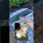 【仰天】『歯磨き粉めし』を食す狂者5ちゃんねるに降臨する