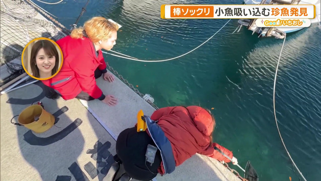 住田紗里アナ　ピタパンのお尻を撮られる！！【GIF動画あり】