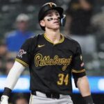 デバニーに期待する成績、正直打率.250 10本でも十分な件