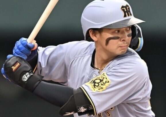 虎ファン『現役ドラフトで放出するのは井上広大、一択』←これ