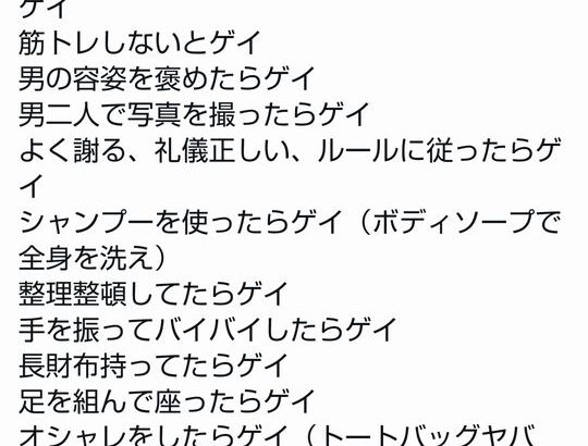 【画像】アメリカ人のゲイ認定基準、レベチｗｗｗｗｗｗ