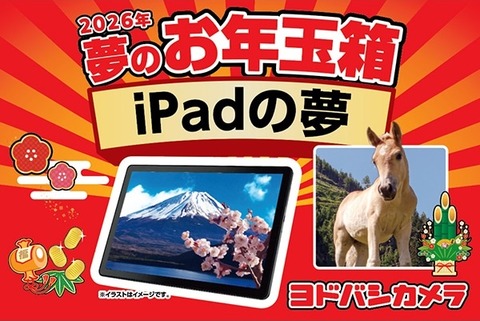 【悪夢】ヨドバシ福袋『iPadの夢』、儚く散る