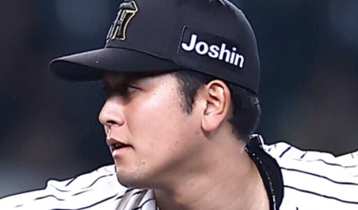 阪神からの現ドラが岡留なら間違いなく1番人気になる