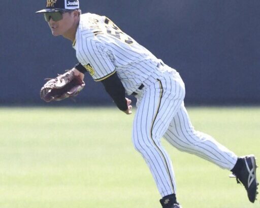 阪神タイガース、レフト候補が14人もいる件