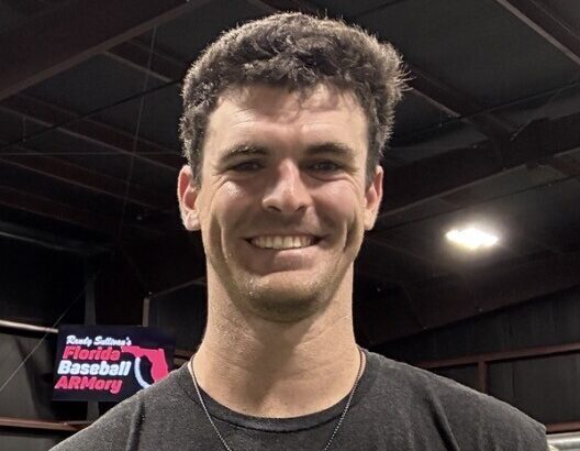 ラグズデール獲得に対してファン「先発なんてなんぼおっても足りなくなるから」