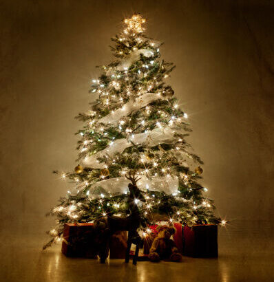 彡(^)(^)「クリスマスイブにツリーを買ったで！」(優しいレスで溢れかえるんやろなぁ…)