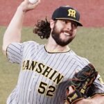 虎ファン、デュプを見てウィルカーソンを思い出す