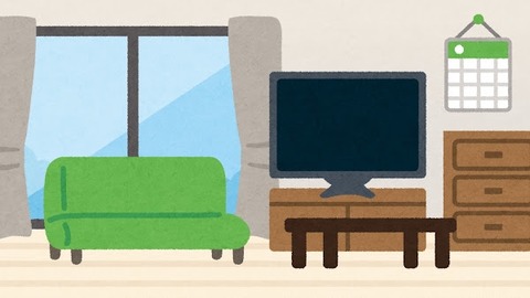 【画像】おまいらのテレビの裏側の配線はどんな感じになってる？