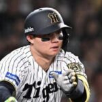 テラス付けないなら野手の査定をもっと上げるべきでは？