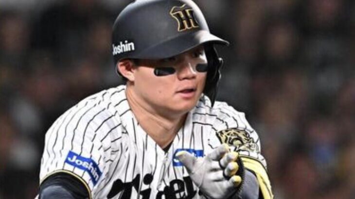 テラス付けないなら野手の査定をもっと上げるべきでは？