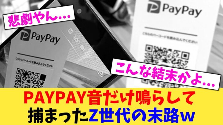 【仰天】PAYPAY音だけ鳴らして捕まったZ世代の末路w
