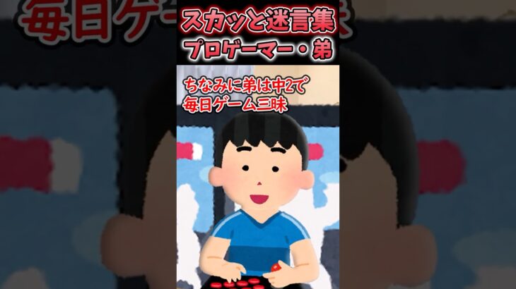 【マジかよ】「我慢しなさいw」→ゲーム三昧の弟を甘やかした母親の末路がw