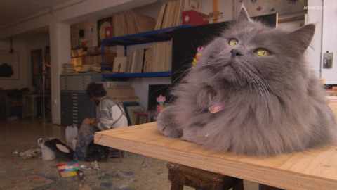 ネッコさん、とんでもない場所でくつろいでしまう