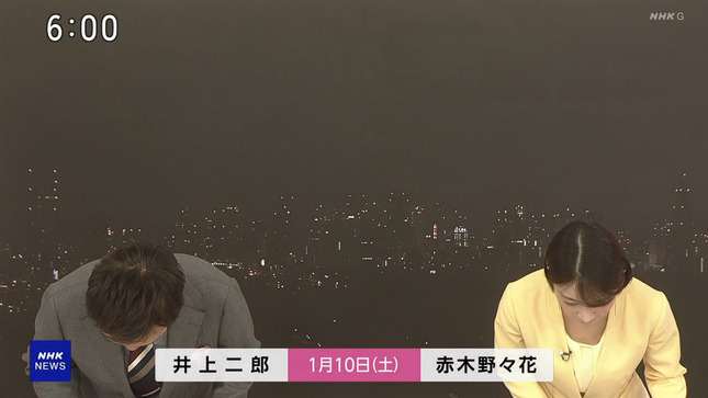 赤木野々花アナ　おはよう日本【GIF動画あり】