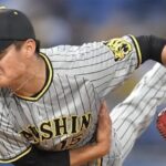 今シーズンの西純矢は注目株すぎるな