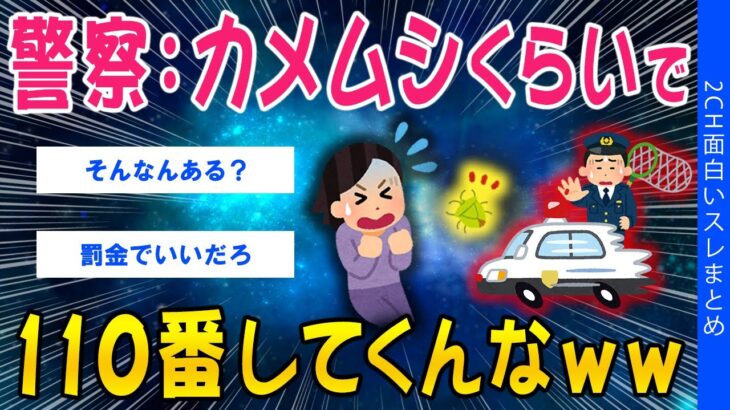【驚愕】警察:カメムシくらいで110番してくんなww