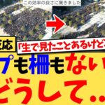 【衝撃】『日本人はみんながルール守ったほうが全体がうまく回るって分かってる』仕切りなしで動く数万人の日本人の群衆…日本の公共マナーに海外が本気で衝撃の反応集