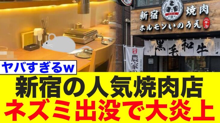 【衝撃】新宿・人気焼肉店のカウンターにネズミ出現⁉
