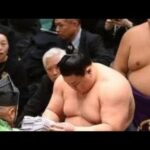 【ほんとは】義ノ富士【草野】❓❗（まとめだかニュース速報）