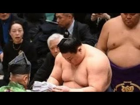 【ほんとは】義ノ富士【草野】❓❗（まとめだかニュース速報）